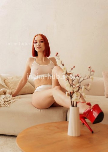 Лиса, Г. Кунгур